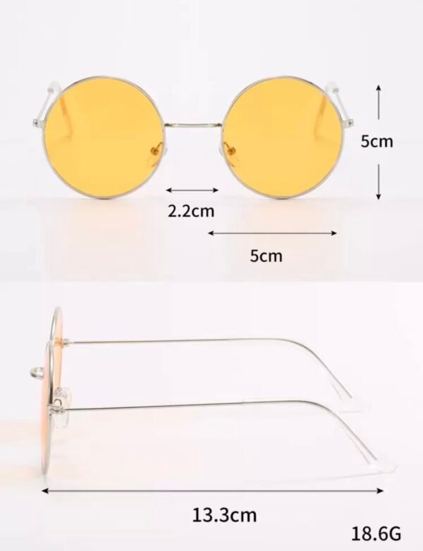 Lunette de soleil ronde stylé